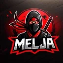 ninja_mel