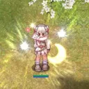 cmmiko