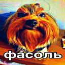 Аватар skwizzex