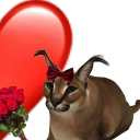 gatoymiel15