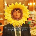 avatar 🌻