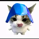 .drclipfarmer