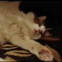 avatar གཉིས།