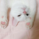 avatar ୨୧￤ Gigi ☆ ഒ·°