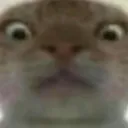 aviatorkhun