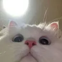mhmd_rmdhann