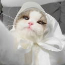 avatar 𝘢𝘦𝘺𝘢𝘢