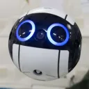 Gopher