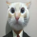 realquazar1