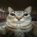 avatar COLD BLOODY :)