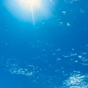 kg_hn