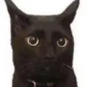 suffaru_