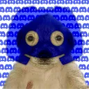 ddog6942000