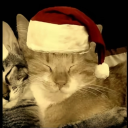 avatar 𝓜𝓲𝓻𝓮