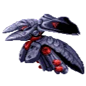 xopachi