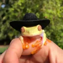 Аватар pvesher2