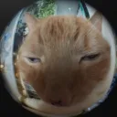 vinixgd avatar