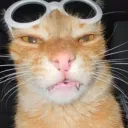 notanandaforsure avatar