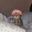 pookie_yuta