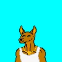 dawgz_dot_algo