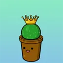 awkwardcactus