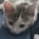 Аватар pathfruits_521