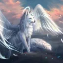 maxwolftc