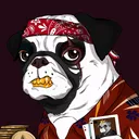 js_pokerpugs5890