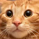 6767676766767676767676767