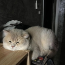 avatar อาหวัง✌