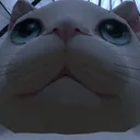 chickywashere