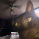 avatar ૮ ․ ․ ྀིა