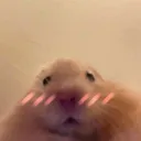 psjdhnwmaixhcnelwouxbcnekw