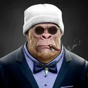 davidz17