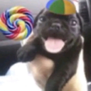 Discord Avatar