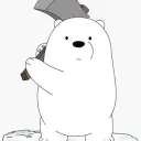 dogcy