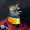 vkvkvknfs