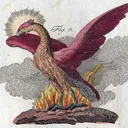phenix6373