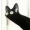 i_tntrat_i
