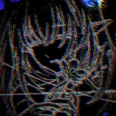 reverillia