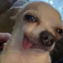 ryuuuu.