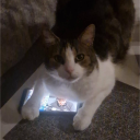 avatar KanyeLover911