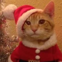 avatar ⊹ᡣ𐭩₊⋆ marte