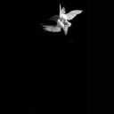 avatar ⃟⃟⃟⃟⃟⃟⃟⃟⃟⃟⃟⃟