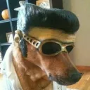 mr.unkmown