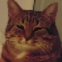 slippy_squirrel