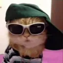 bzykkbzykk