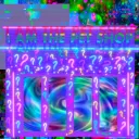 amithepetshop0551