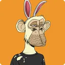 0xsambelteri
