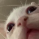 im_dsy